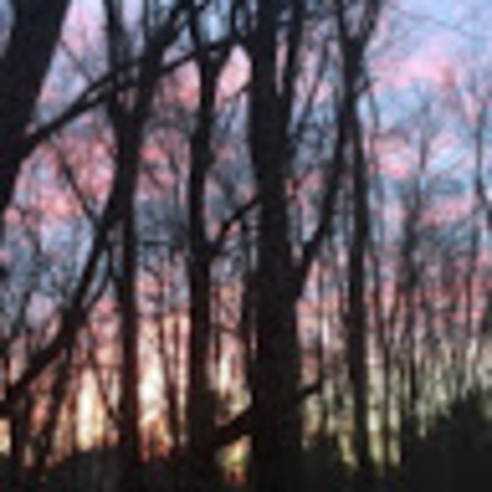 Meet your Posher, Jonna